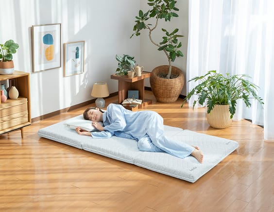 レンタル】コアラ(Koala)・コアラフトン OASIS シングルのサブスク・お